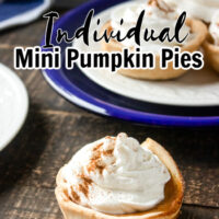 Individual Mini Pumpkin Pies topped with whipped cream and pumpkin pie spice