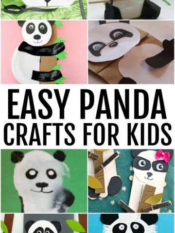 Collage of Panda Crafts for Kids