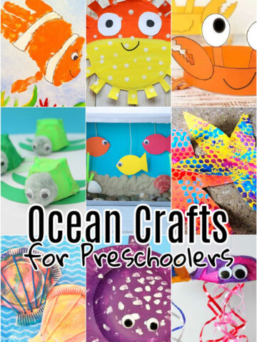 Collage of Ocean Crafts for Preschoolers