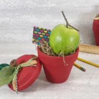 Terra Cotta Pot Apple Craft - Teacher Gift Idea