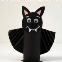 Completed Toilet Paper Roll Bat Craft for Kids