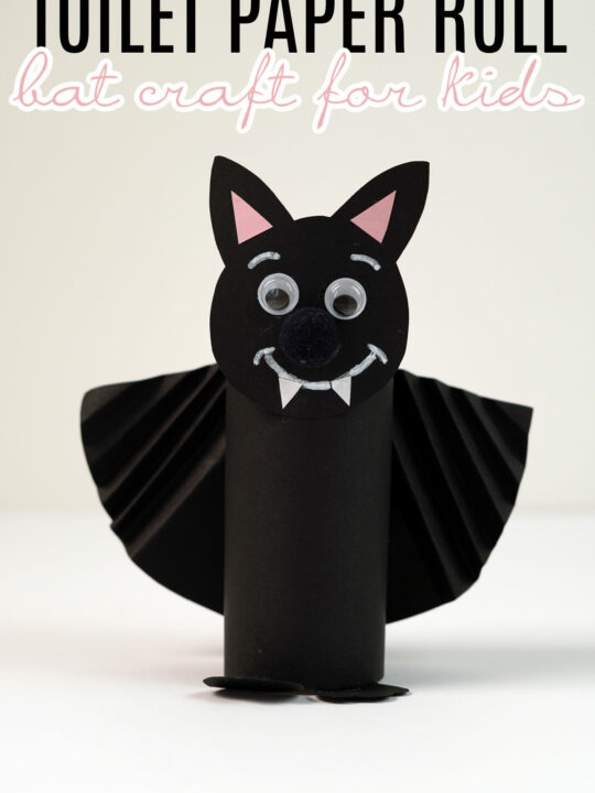 Toilet Paper Roll Bat Craft Today's Creative Ideas