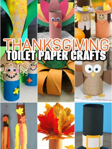 toilet paper roll indian craft