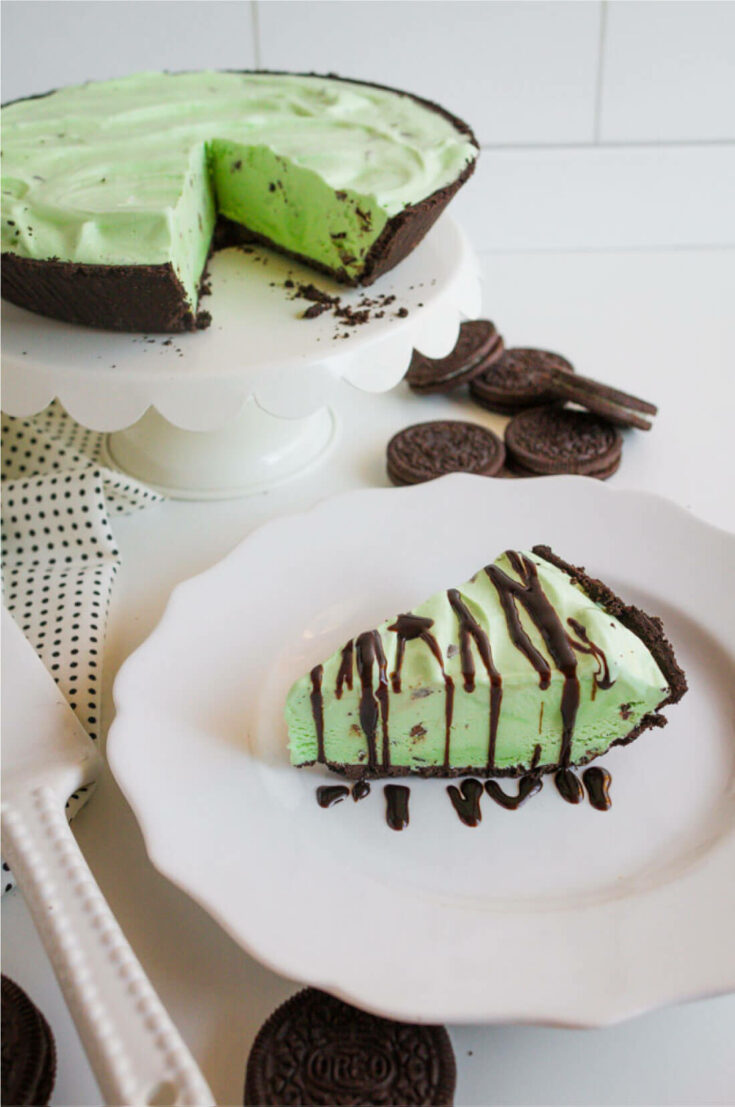 13+ Delicious Mint Recipes | Today's Creative Ideas