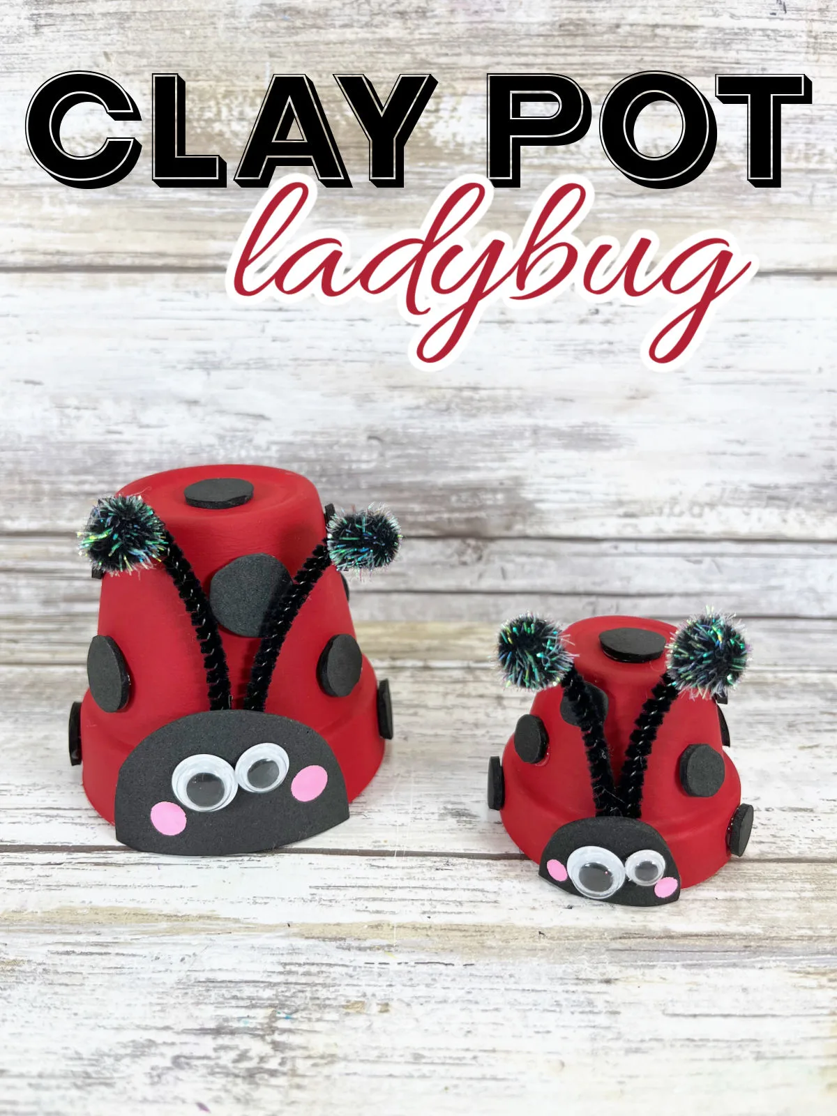 Clay Pot Ladybug Craft on a wooden background