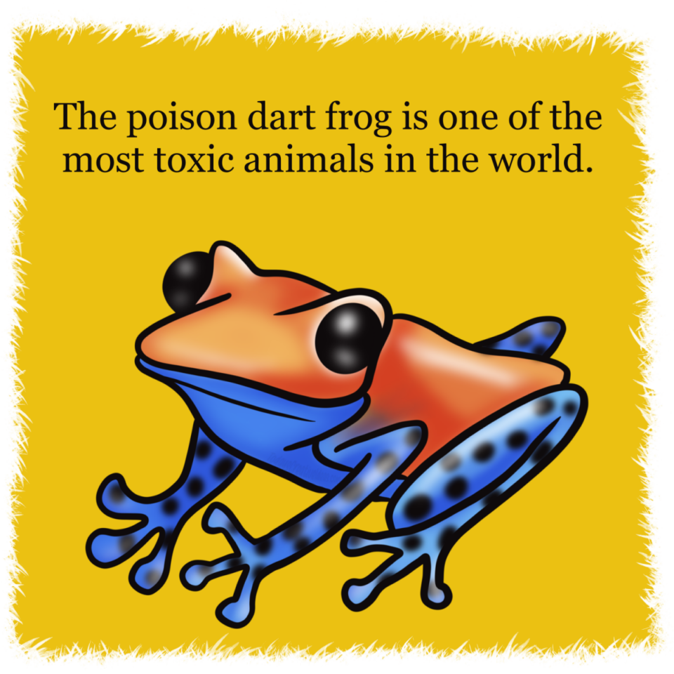 110 Fascinating and Fun Facts About Animals