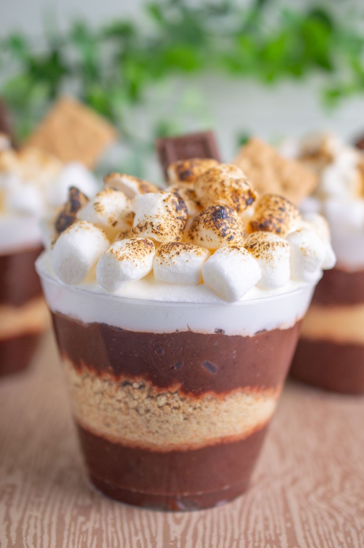 layered S'mores Parfaits in a cups 